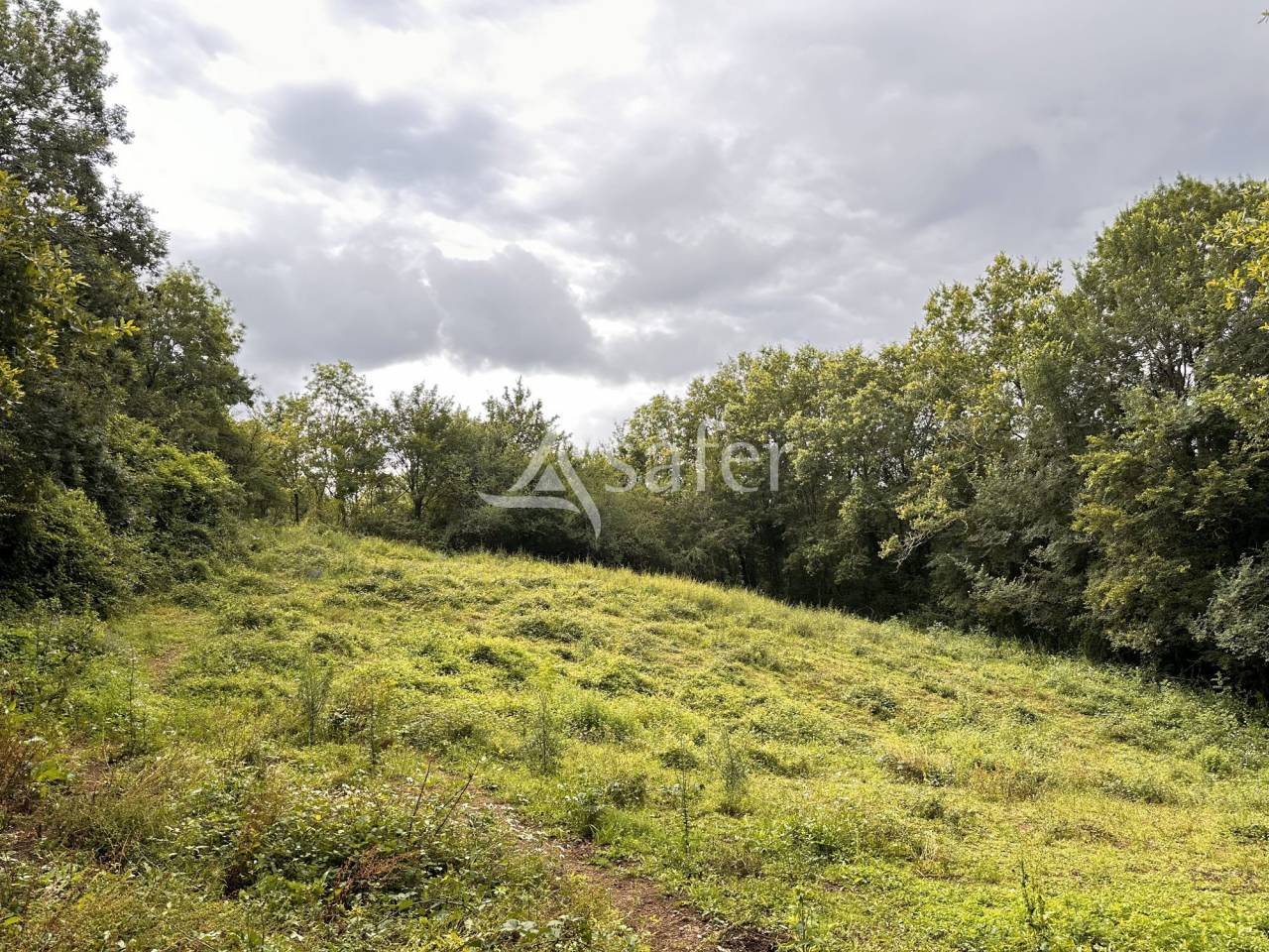 Other country property  Charente