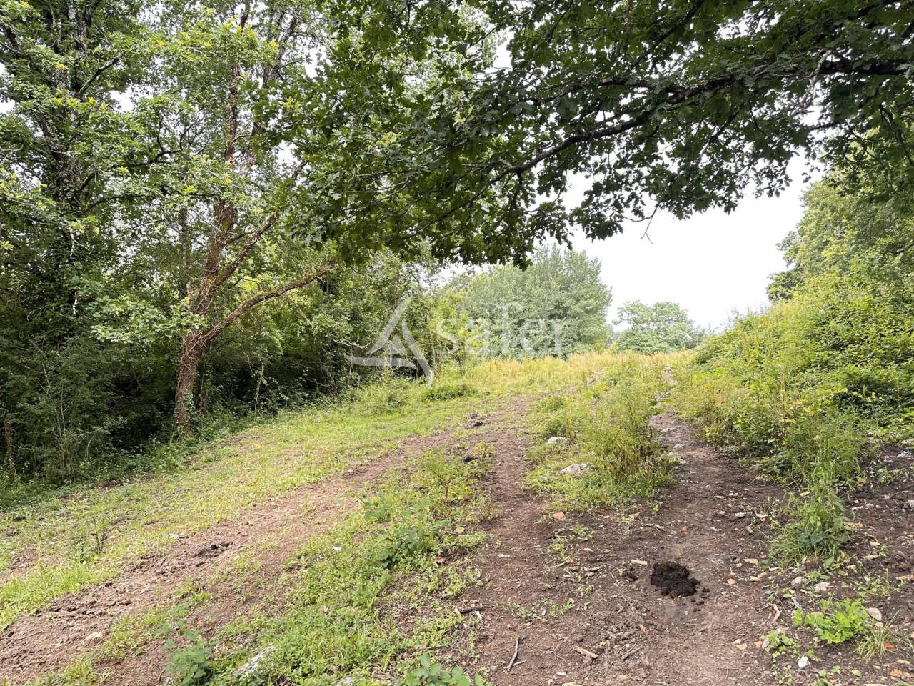 Other country property  Charente