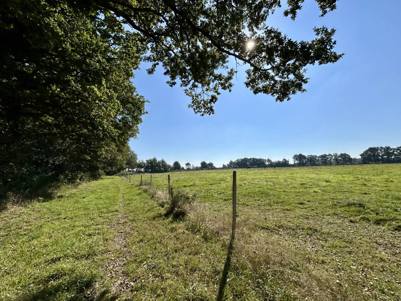 Livery yard  Loire-Atlantique