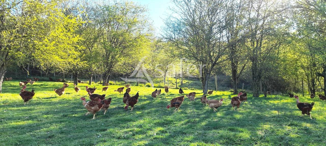 Poultry farm  Tarn-et-Taronne