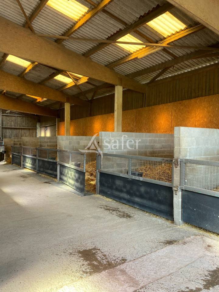Equestrian property  Calvados