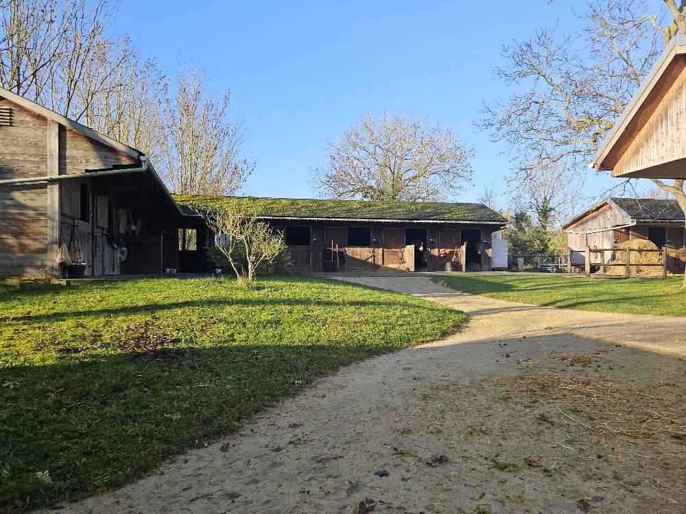 Stud farm  Val-d'Oise