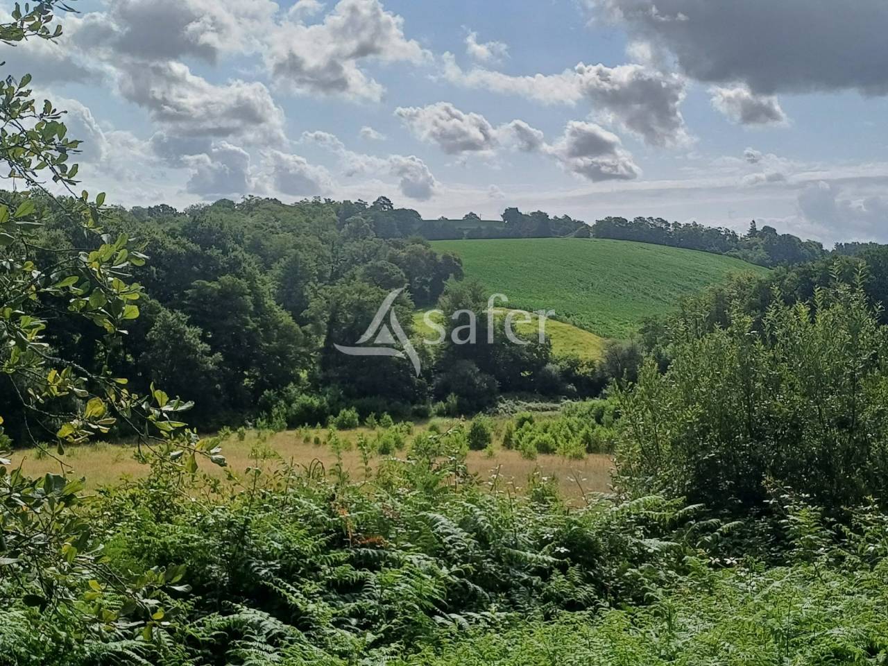 Other agricultural property  Landes