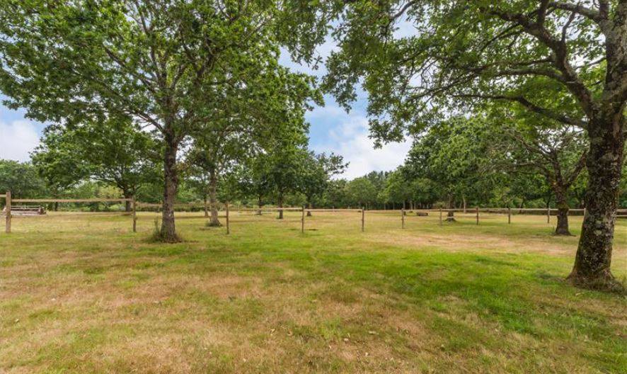 Luxurious equestrian property  Côte d'Armor