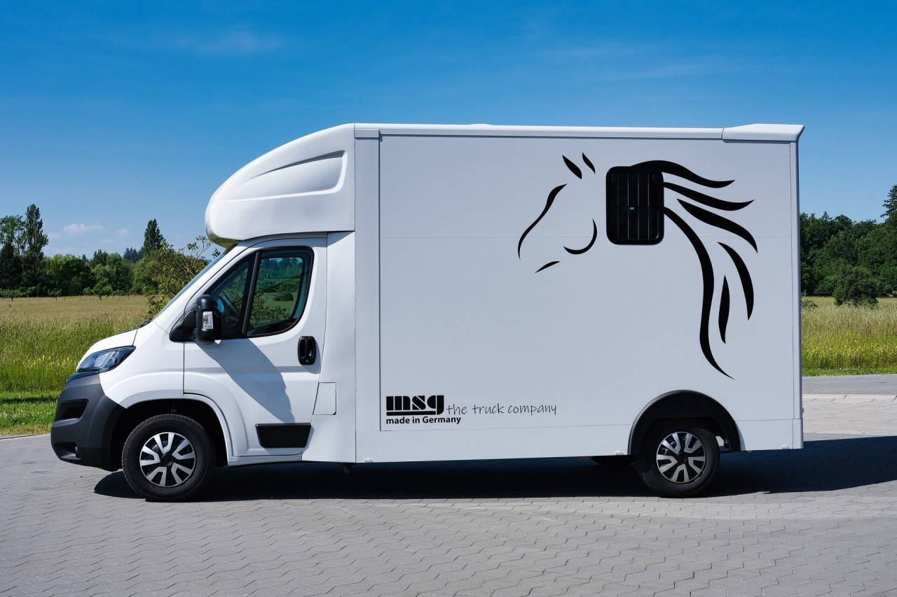 Horsebox HGV Autre marque PEUGEOT 0 New