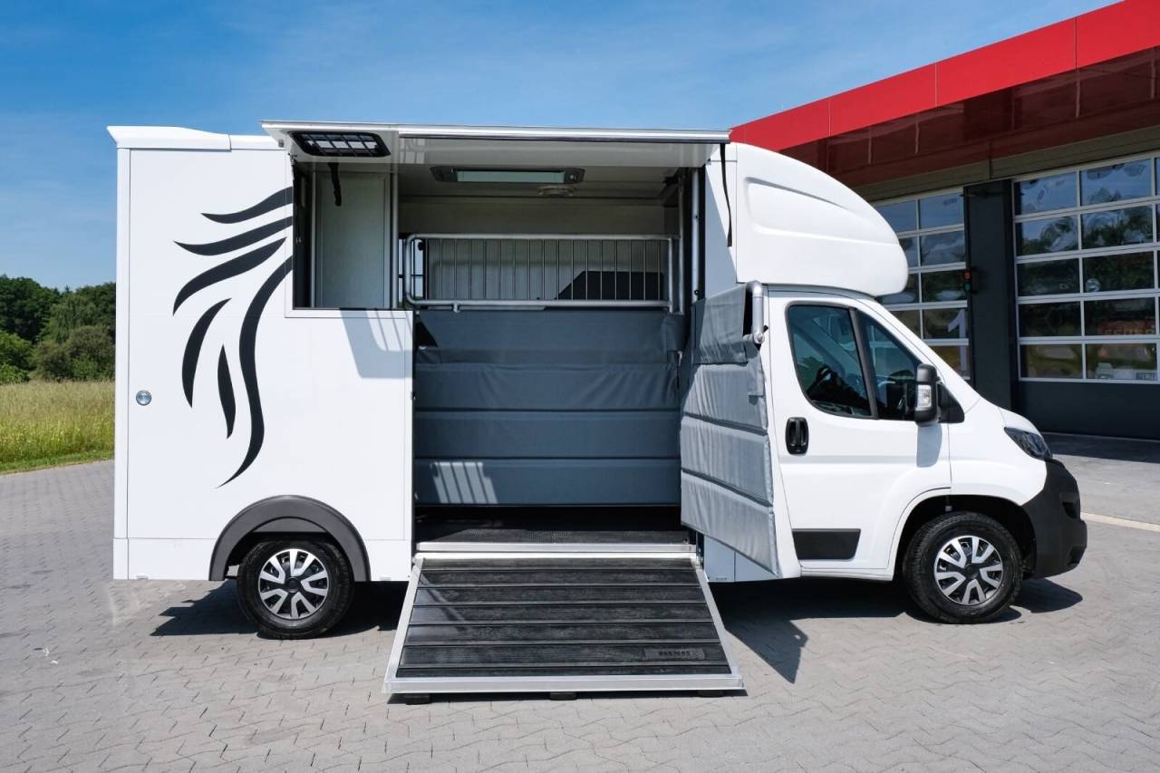 Horsebox HGV Autre marque PEUGEOT 0 New