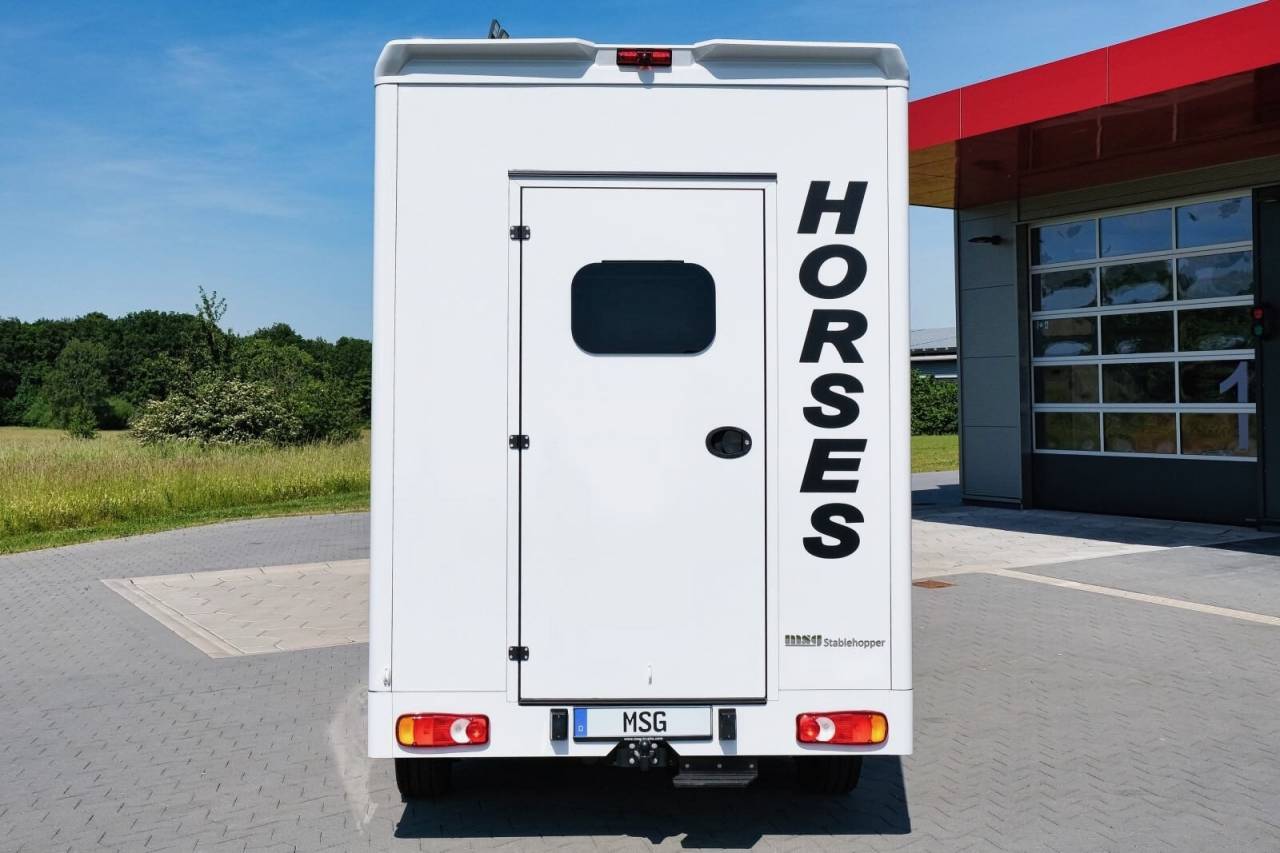 Horsebox HGV Autre marque PEUGEOT 0 New