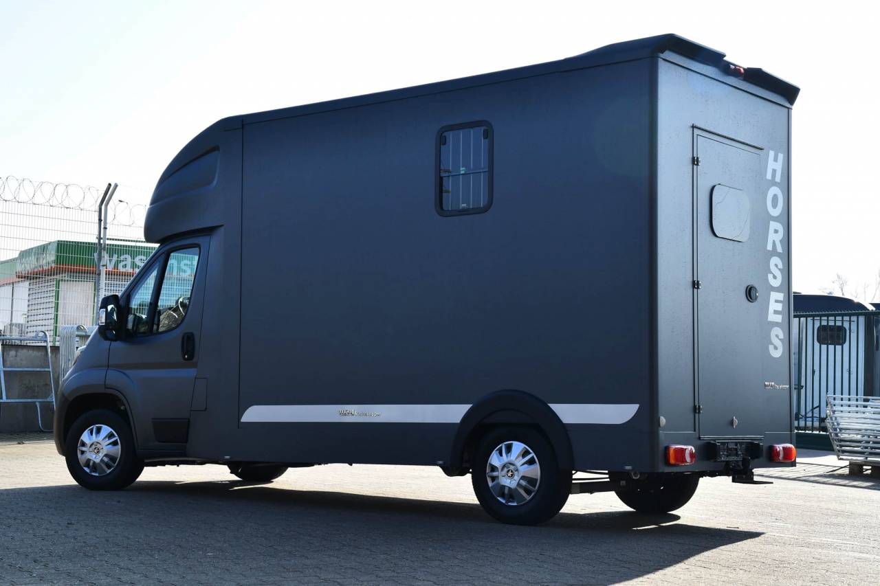 Horsebox HGV Autre marque PEUGEOT 0 New