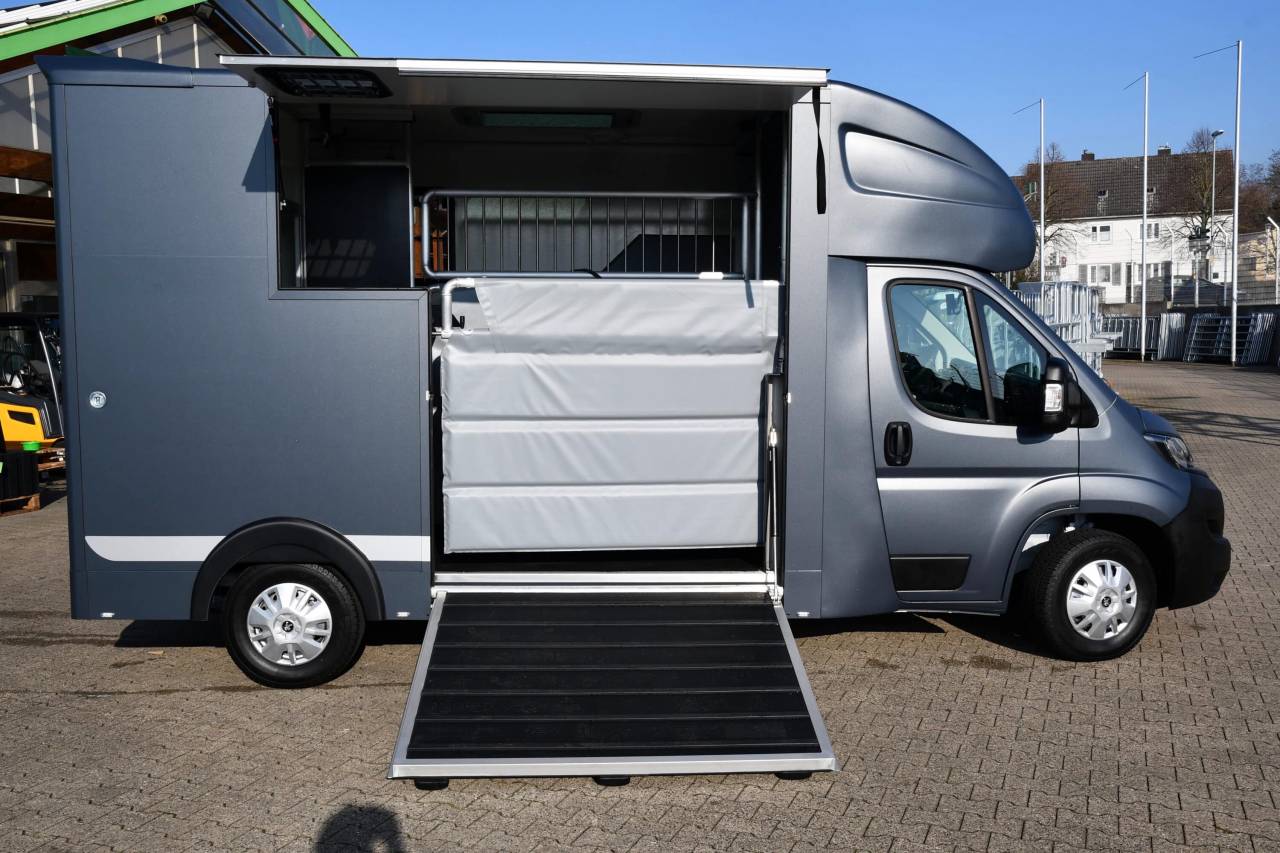 Horsebox HGV Autre marque PEUGEOT 0 New