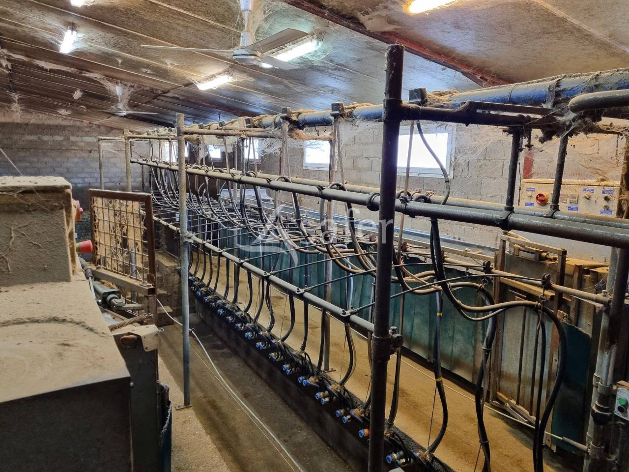 Sheep farm  Tarn-et-Taronne