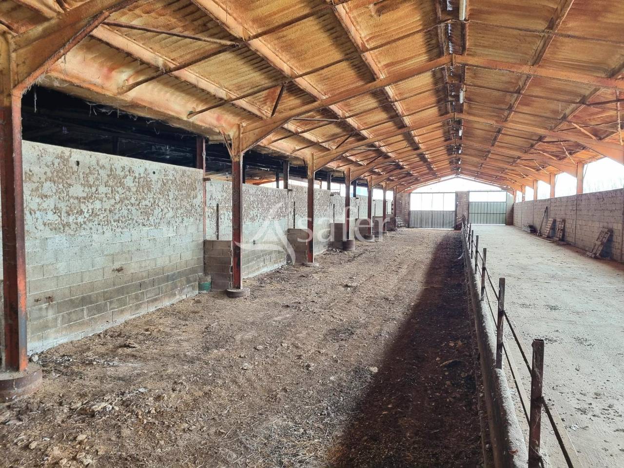 Sheep farm  Tarn-et-Taronne