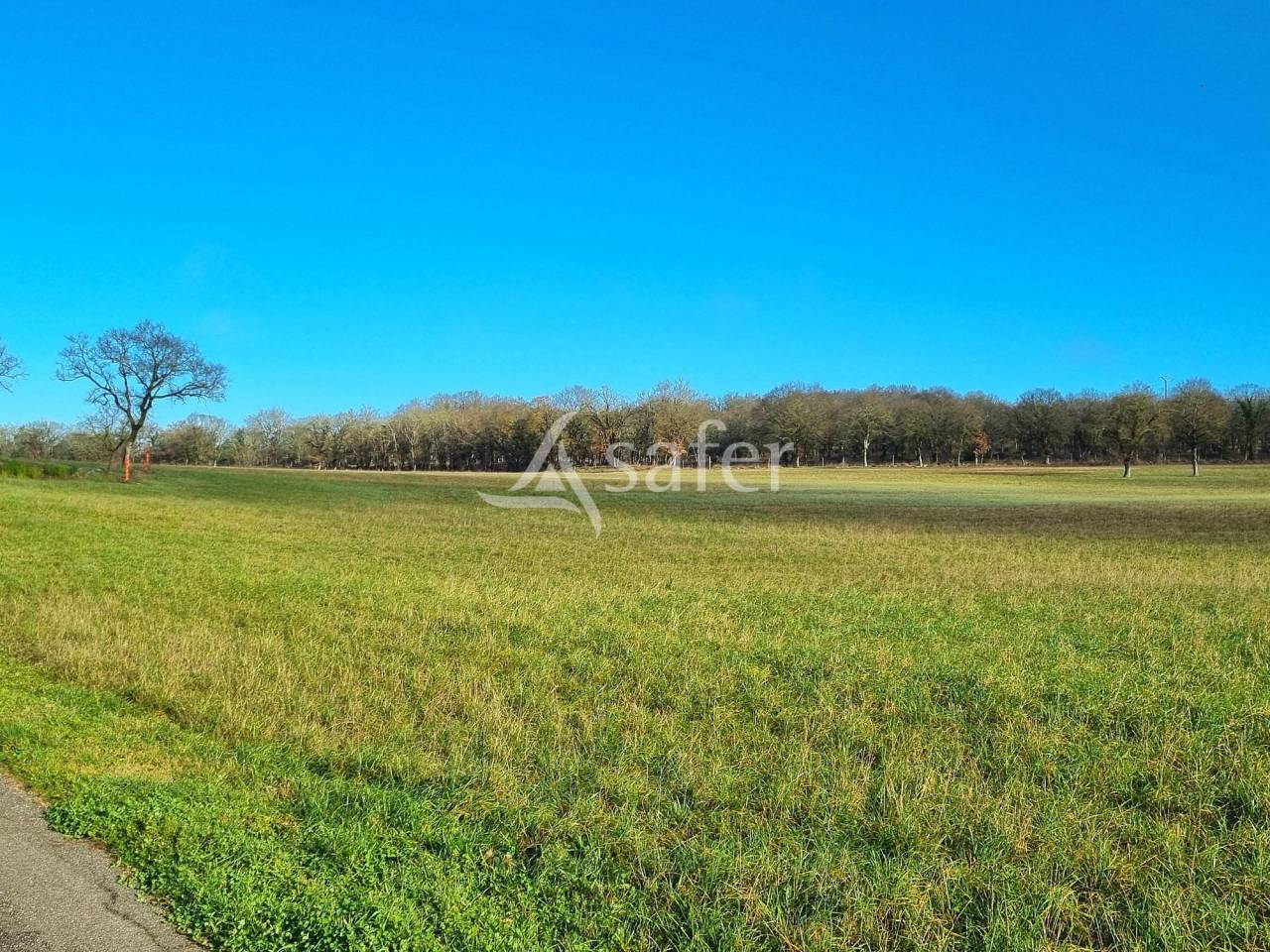 Sheep farm  Tarn-et-Taronne