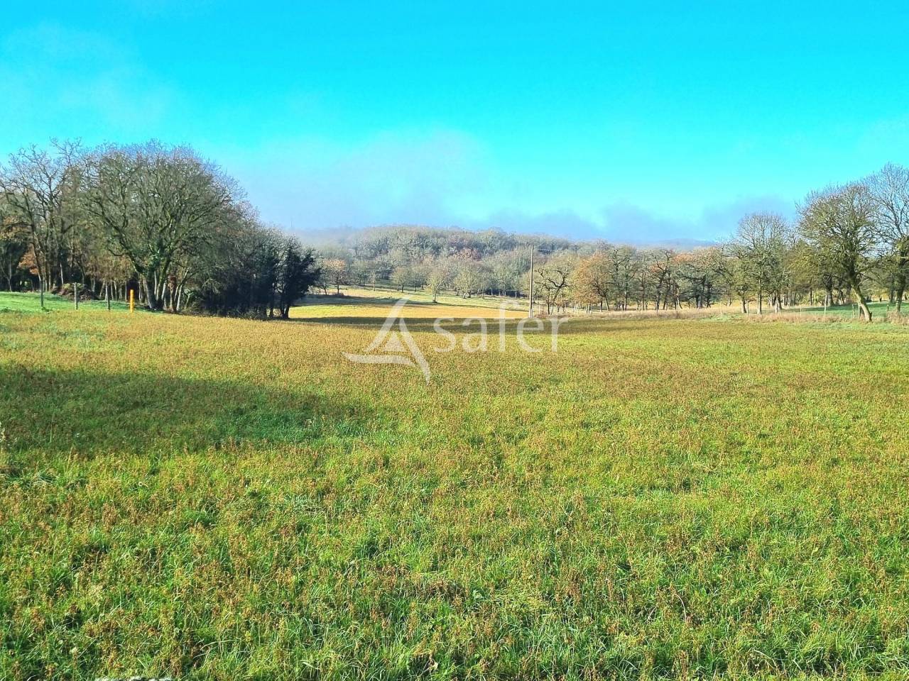 Sheep farm  Tarn-et-Taronne