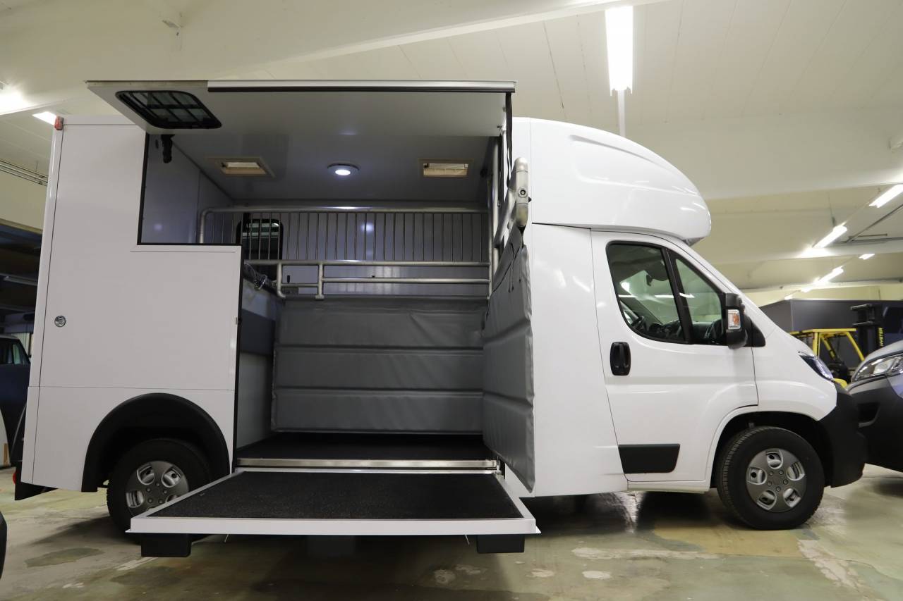 Horsebox HGV Autre marque PEUGEOT 0 New