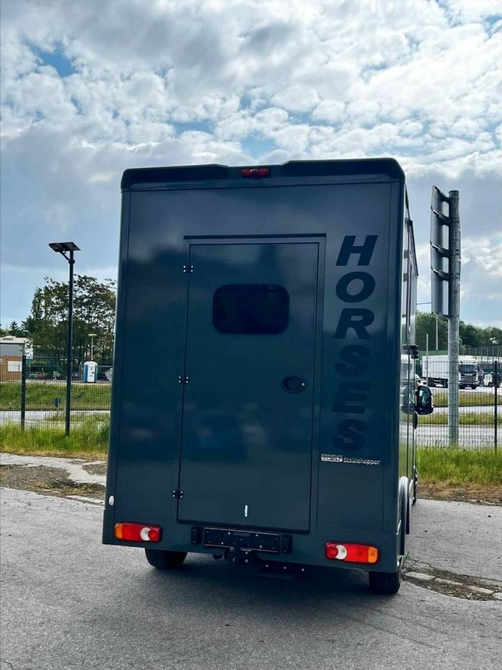 Horsebox HGV Autre marque PEUGEOT 0 New