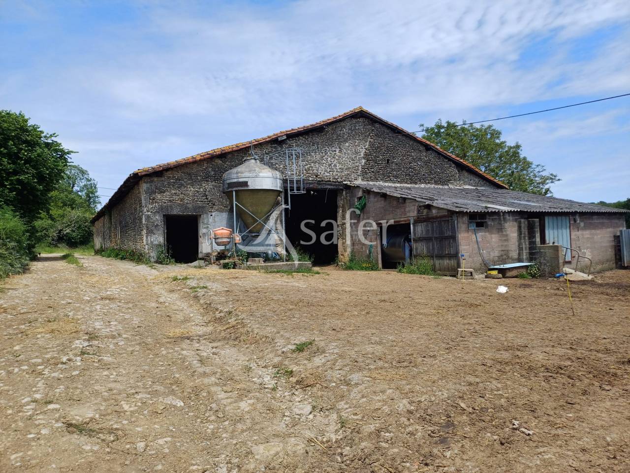 Dairy farm  Charente