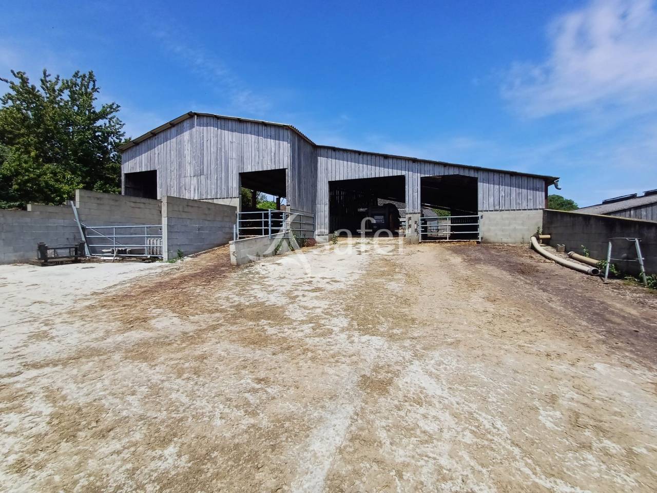 Dairy farm  Charente