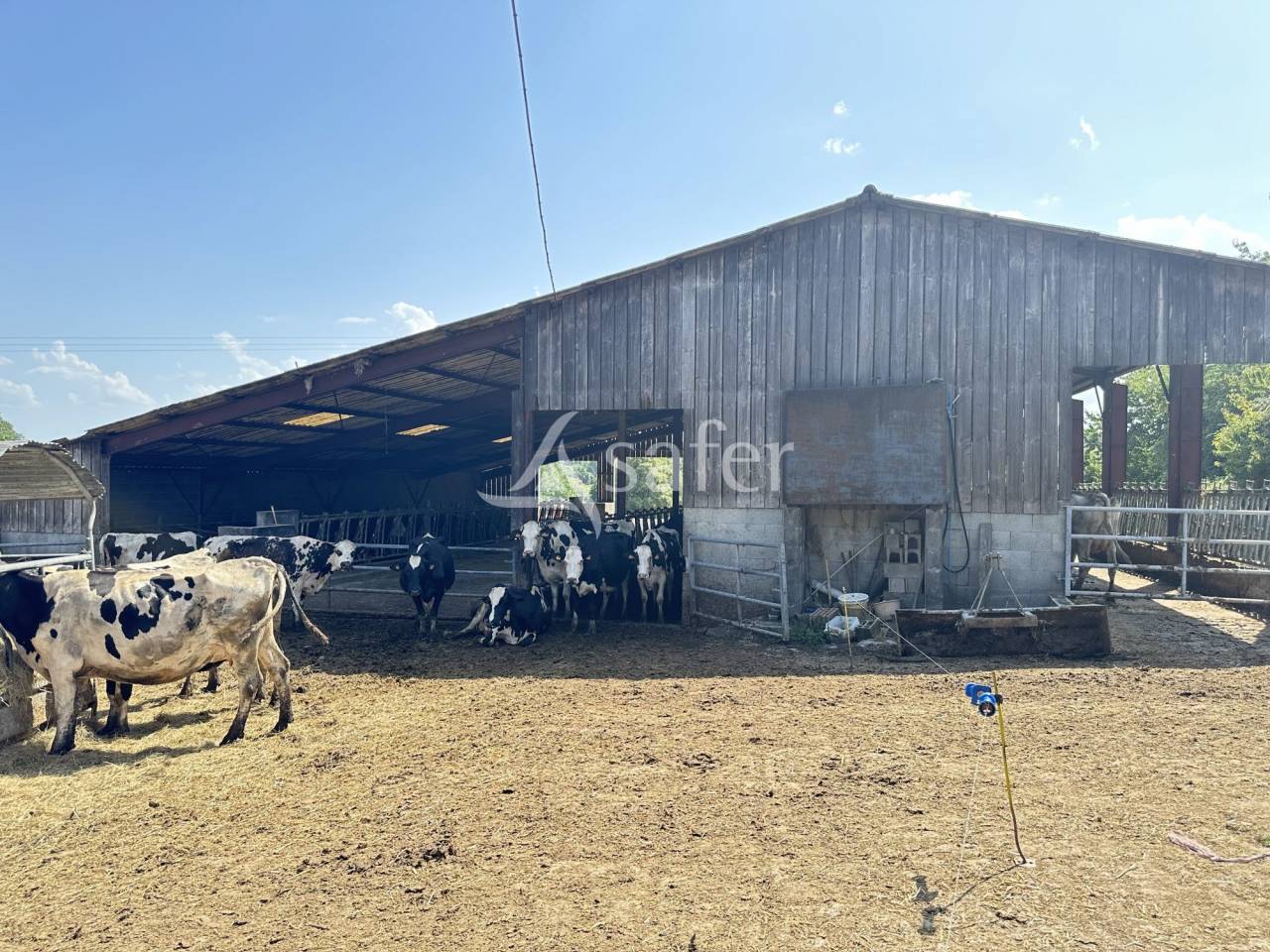 Dairy farm  Charente