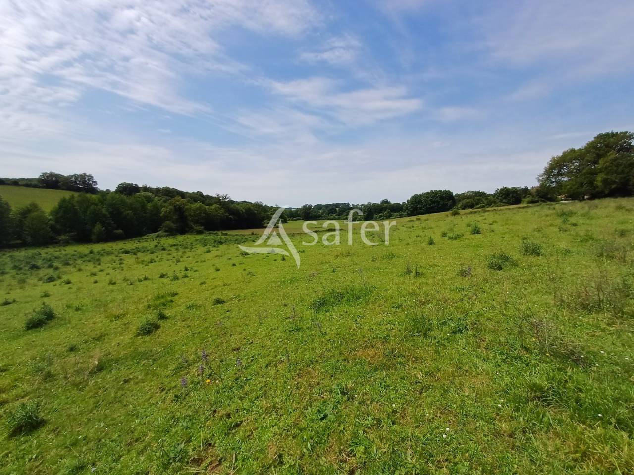 Dairy farm  Charente