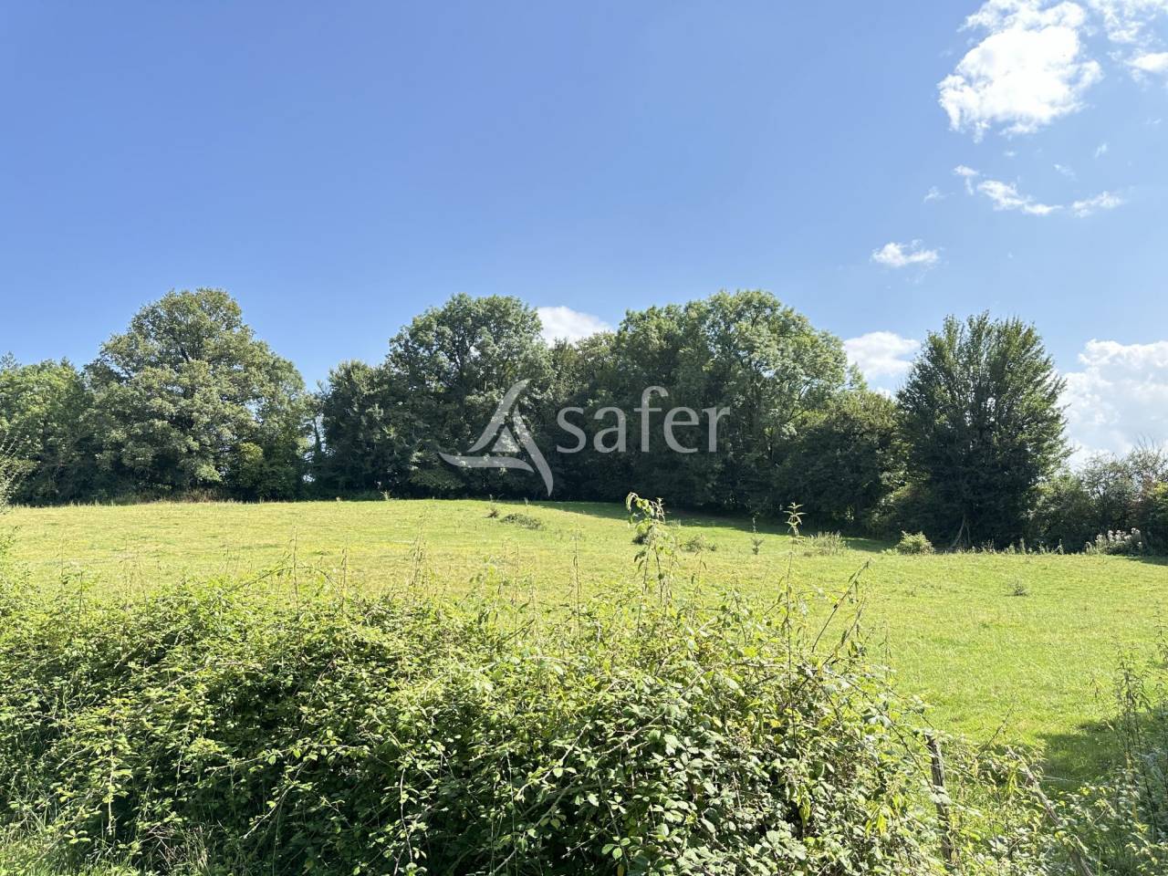 Dairy farm  Charente