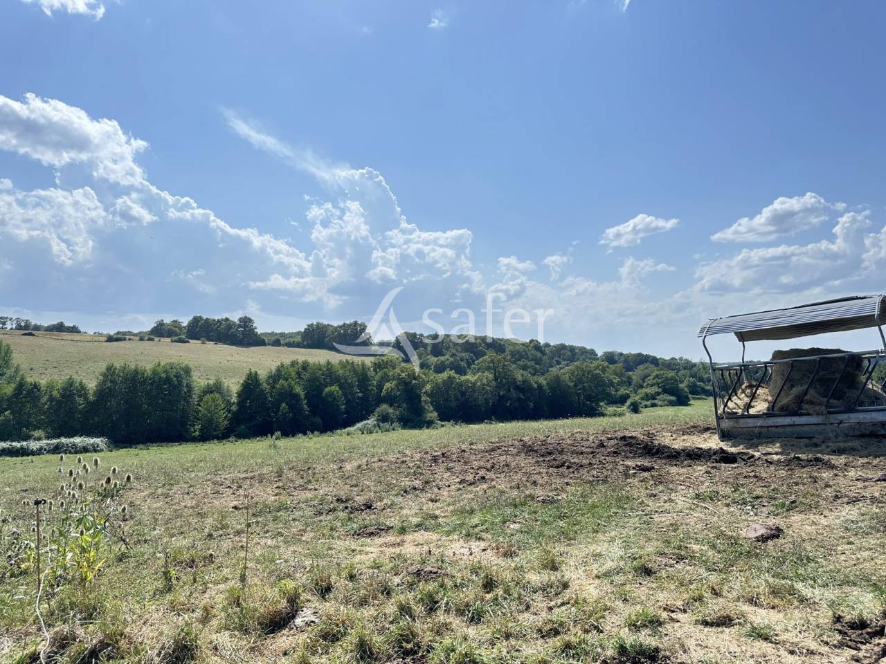 Dairy farm  Charente