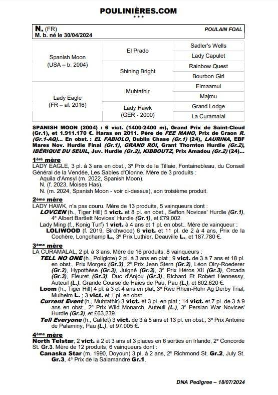 Colt Thoroughbred For sale 2024 Bay