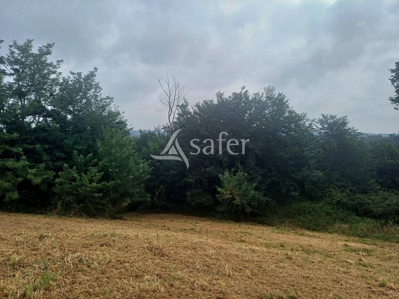 Other agricultural property  Landes