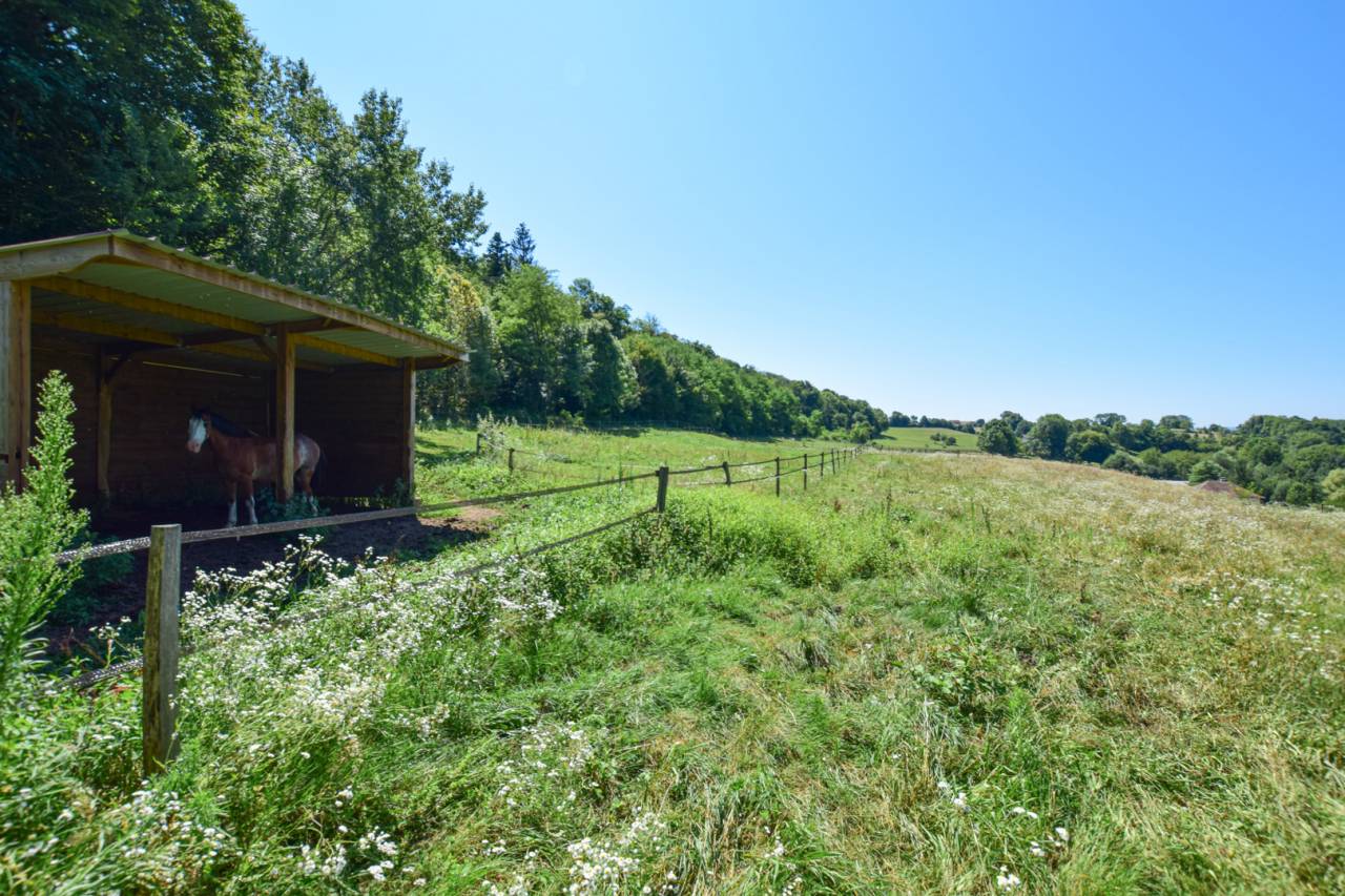 Equestrian property  Isère