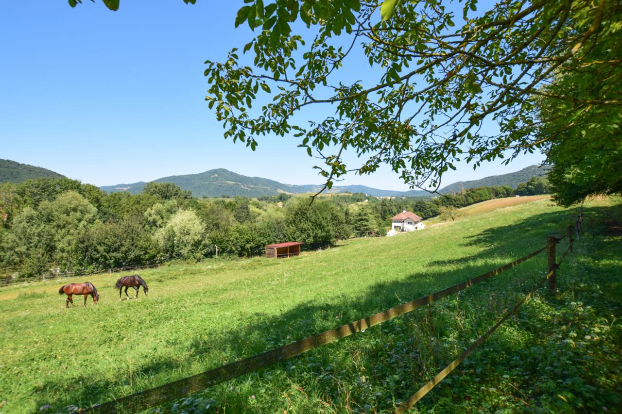 Equestrian property  Isère