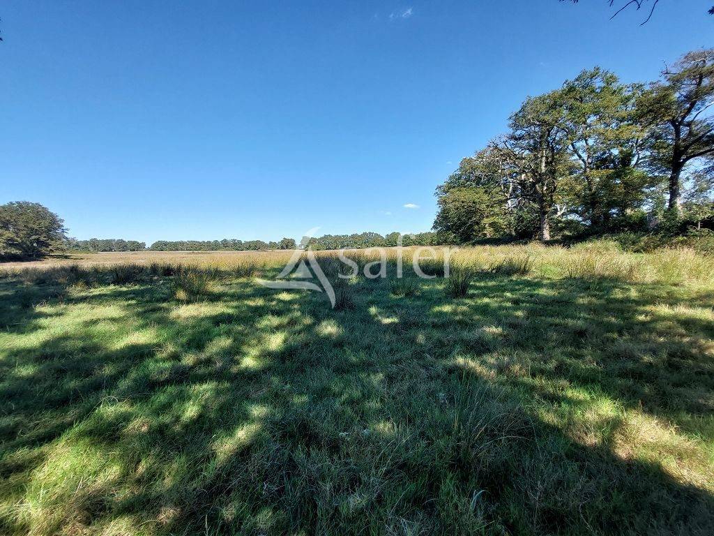 Other country property  Haute-Vienne