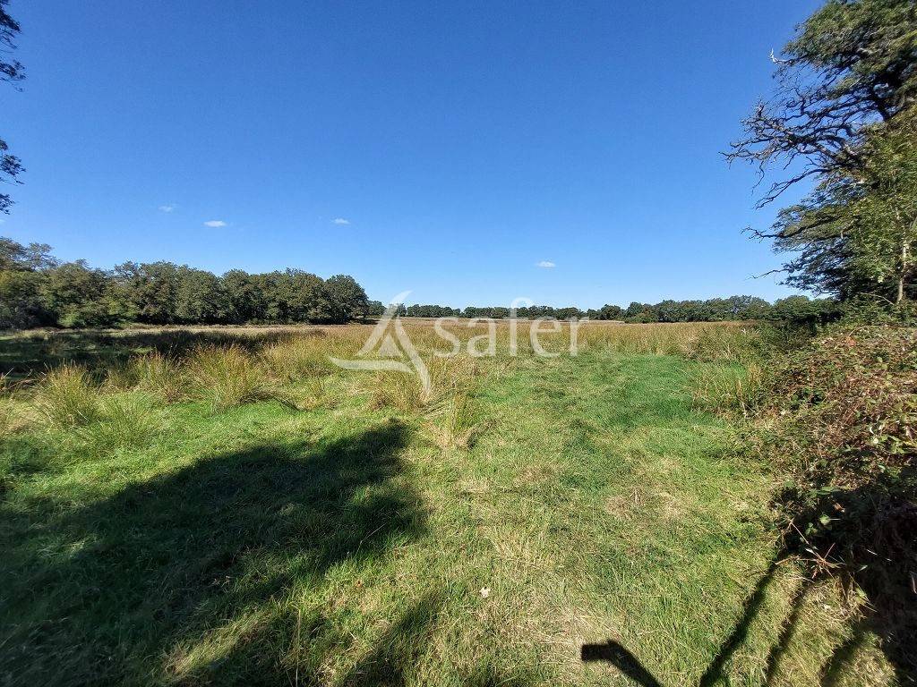 Other country property  Haute-Vienne