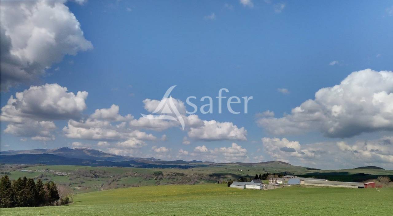 Other agricultural property  Cantal