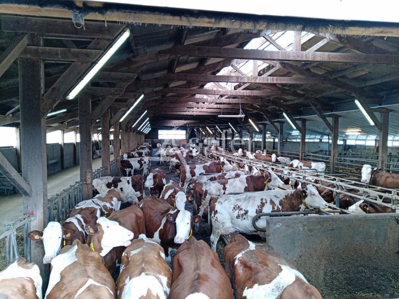 Other agricultural property  Cantal