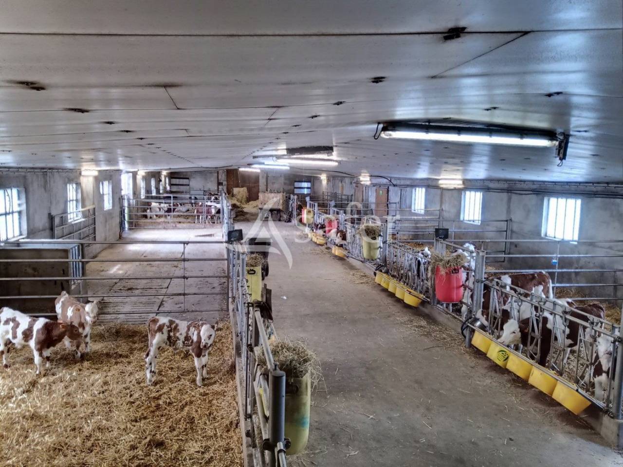 Other agricultural property  Cantal