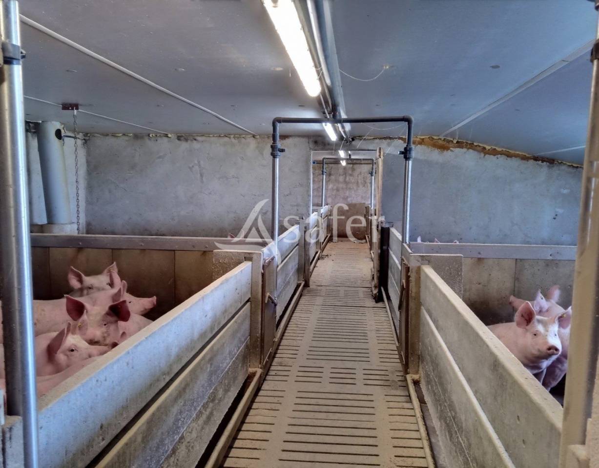 Other agricultural property  Cantal