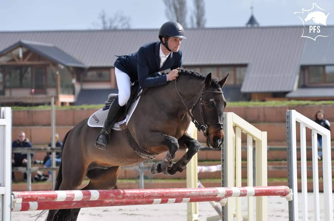 Vlashorst Arbalou - New Forest 2009 by Niloway Arbalou