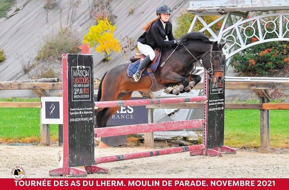 Vlashorst Arbalou - New Forest 2009 by Niloway Arbalou