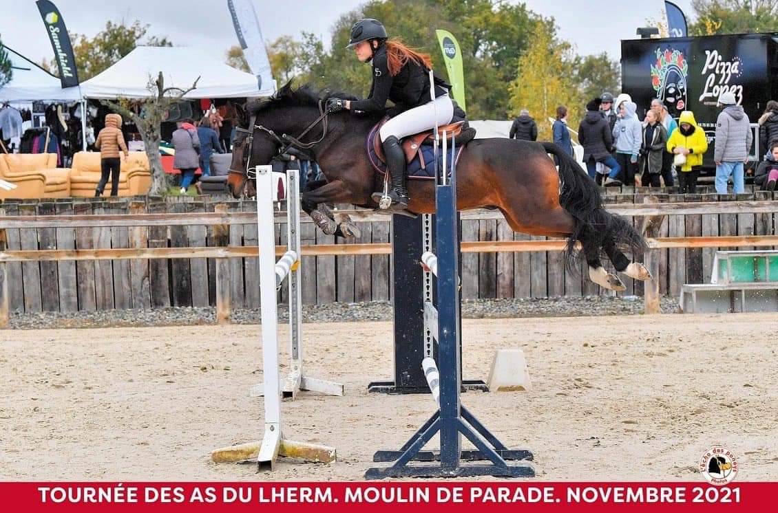 Vlashorst Arbalou - New Forest 2009 by Niloway Arbalou