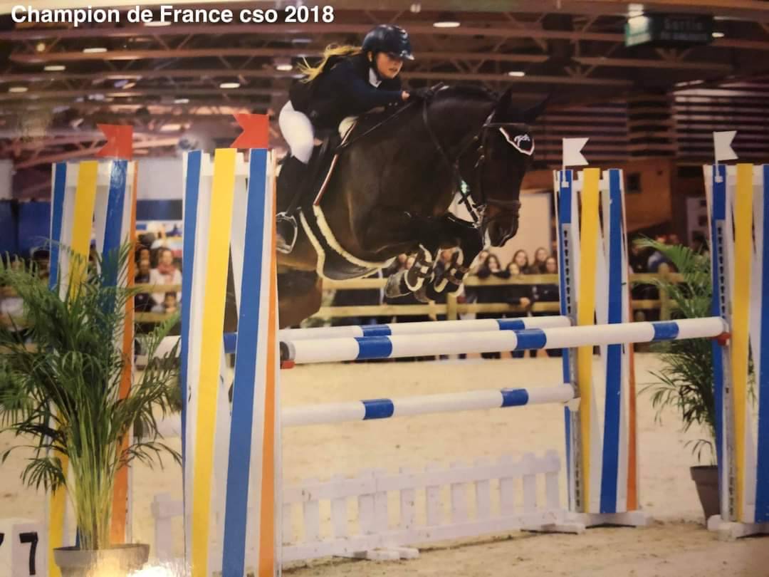 Vlashorst Arbalou - New Forest 2009 by Niloway Arbalou