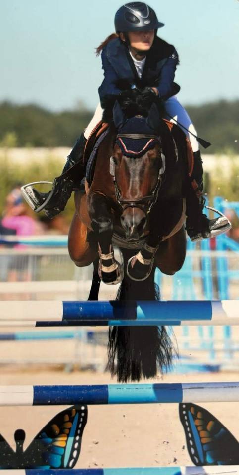 Vlashorst Arbalou - New Forest 2009 by Niloway Arbalou