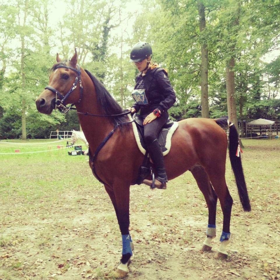 SHAH DJAHAN - Arabian 2009 by WH KANEKO MS