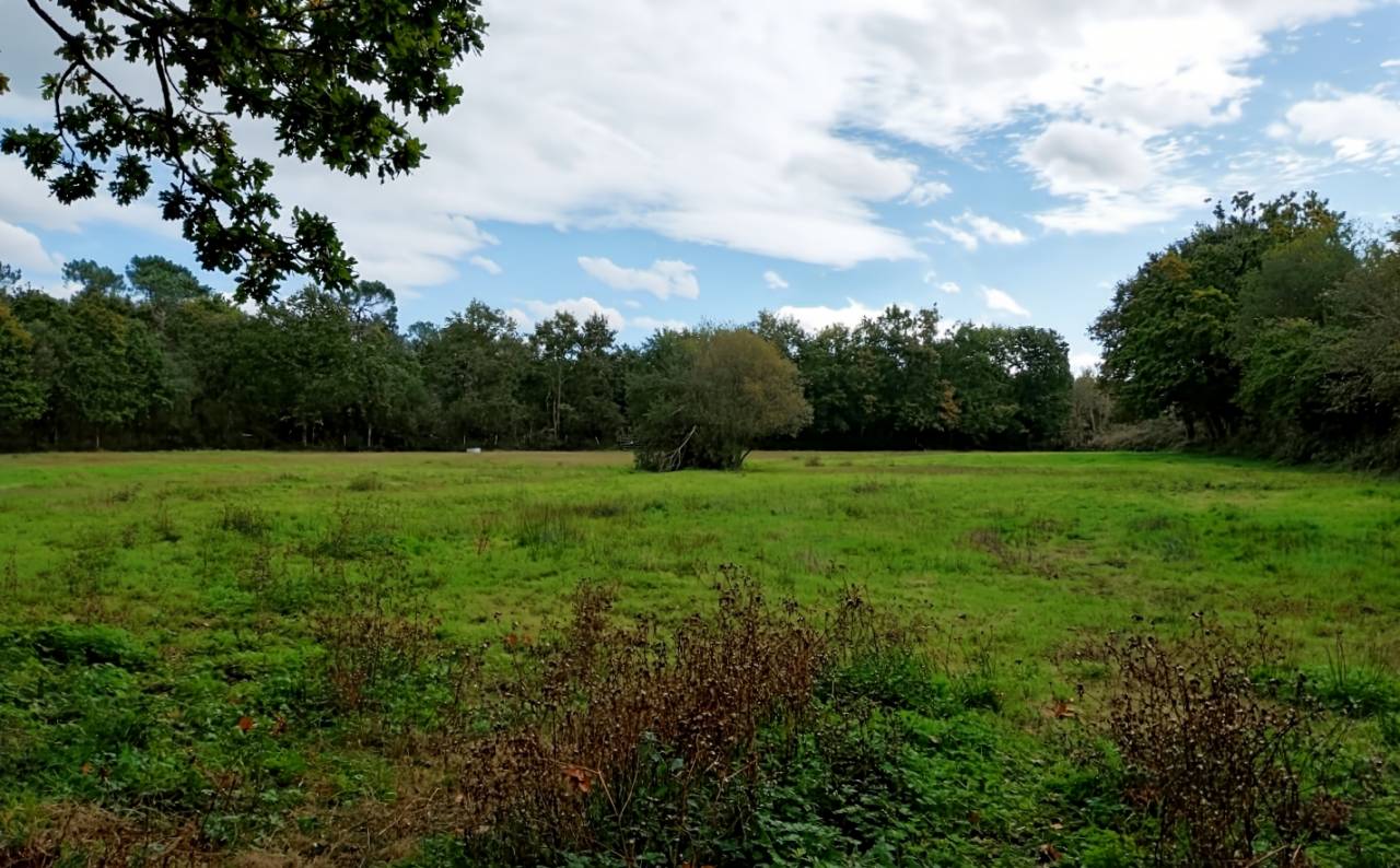 Luxurious equestrian property  Manche