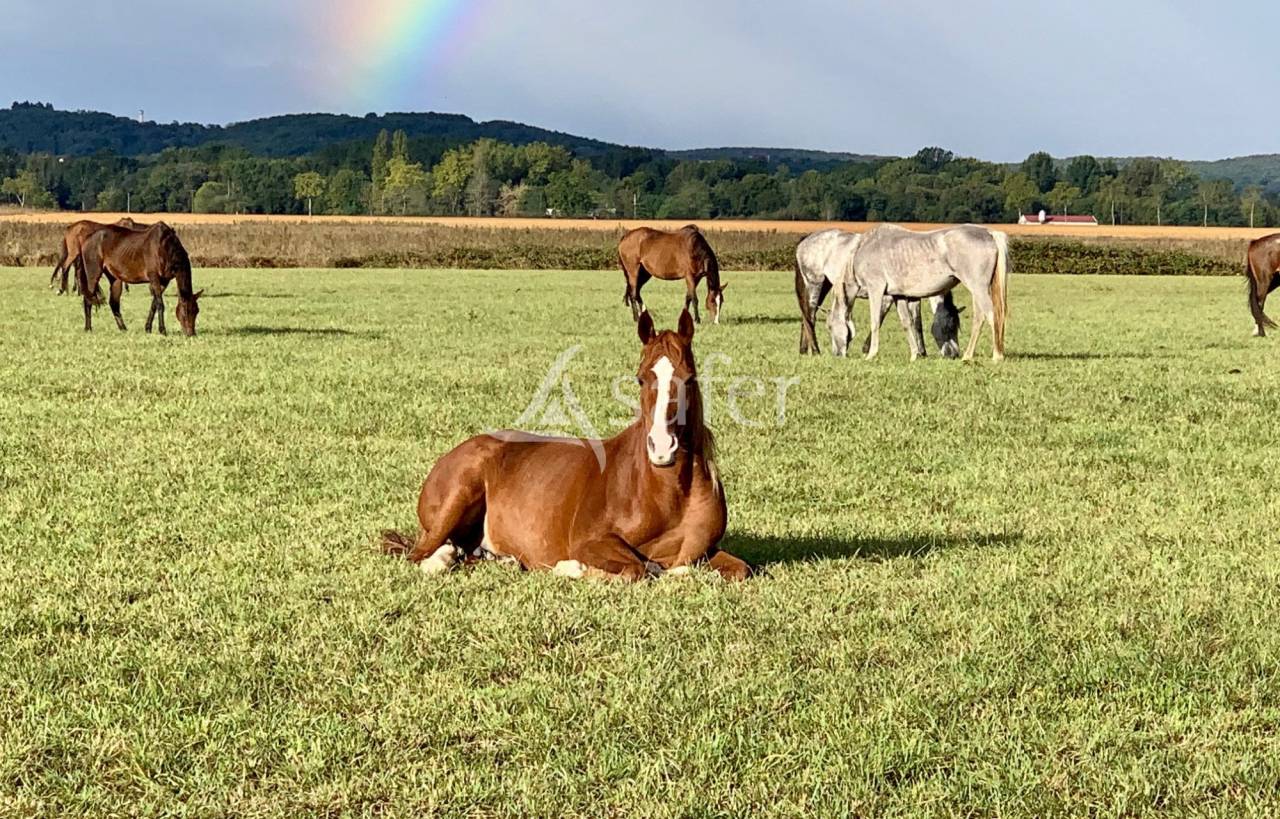 Equestrian property  Hautes-Pyrénées