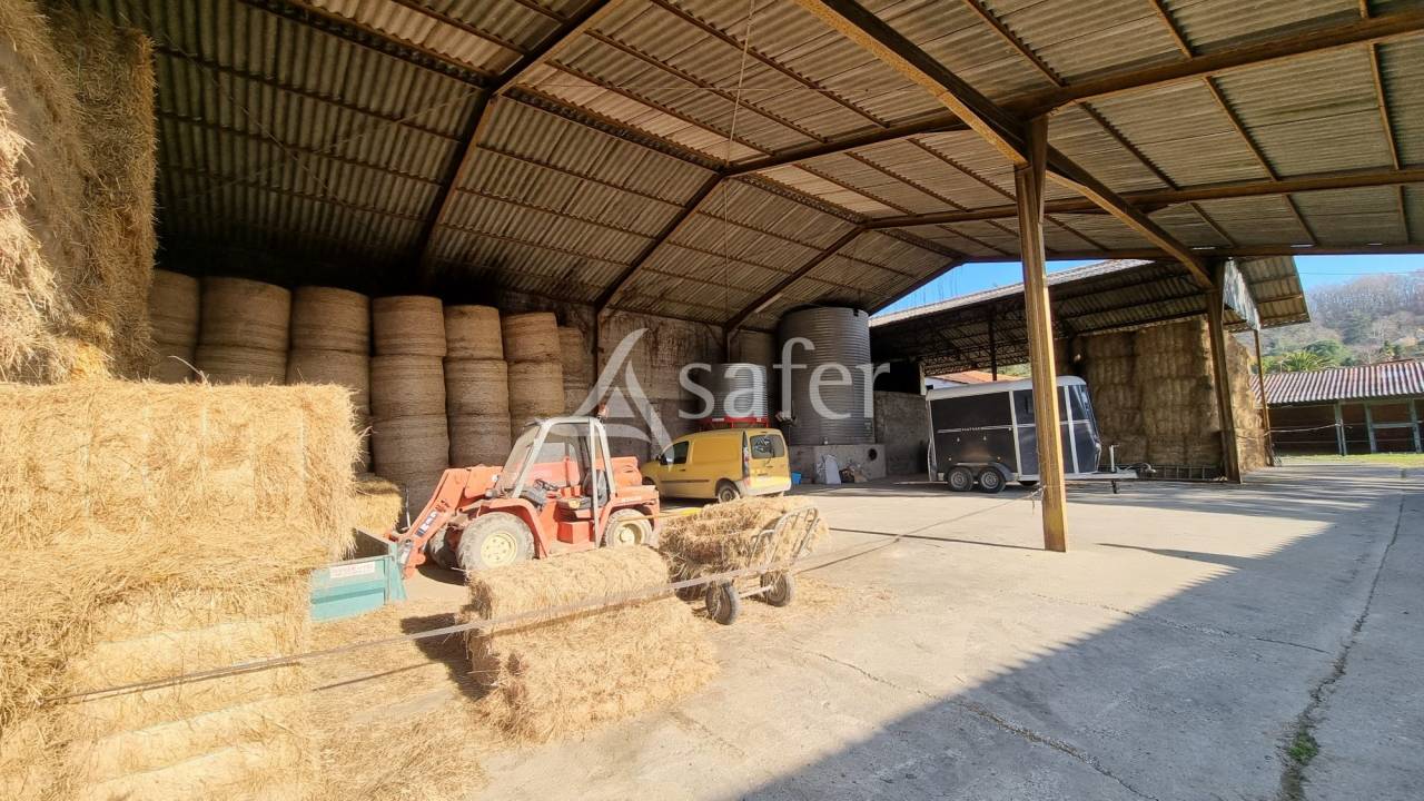 Equestrian property  Hautes-Pyrénées
