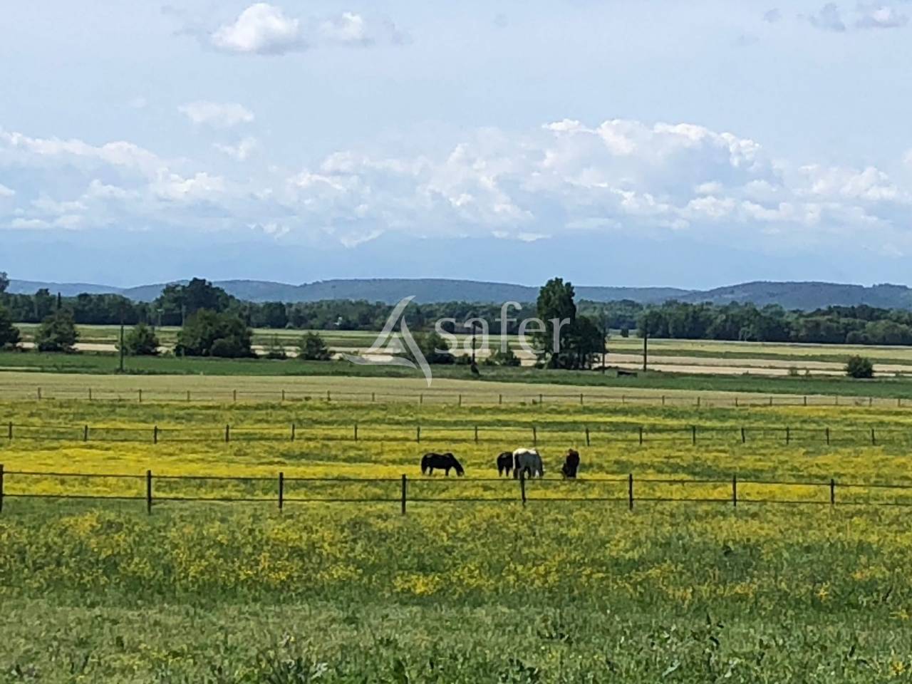 Equestrian property  Hautes-Pyrénées