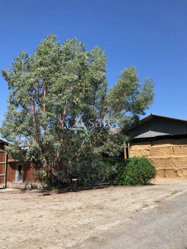 Equestrian property  Hautes-Pyrénées