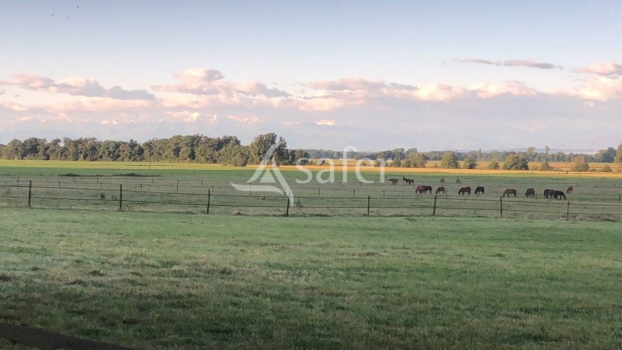 Equestrian property  Hautes-Pyrénées