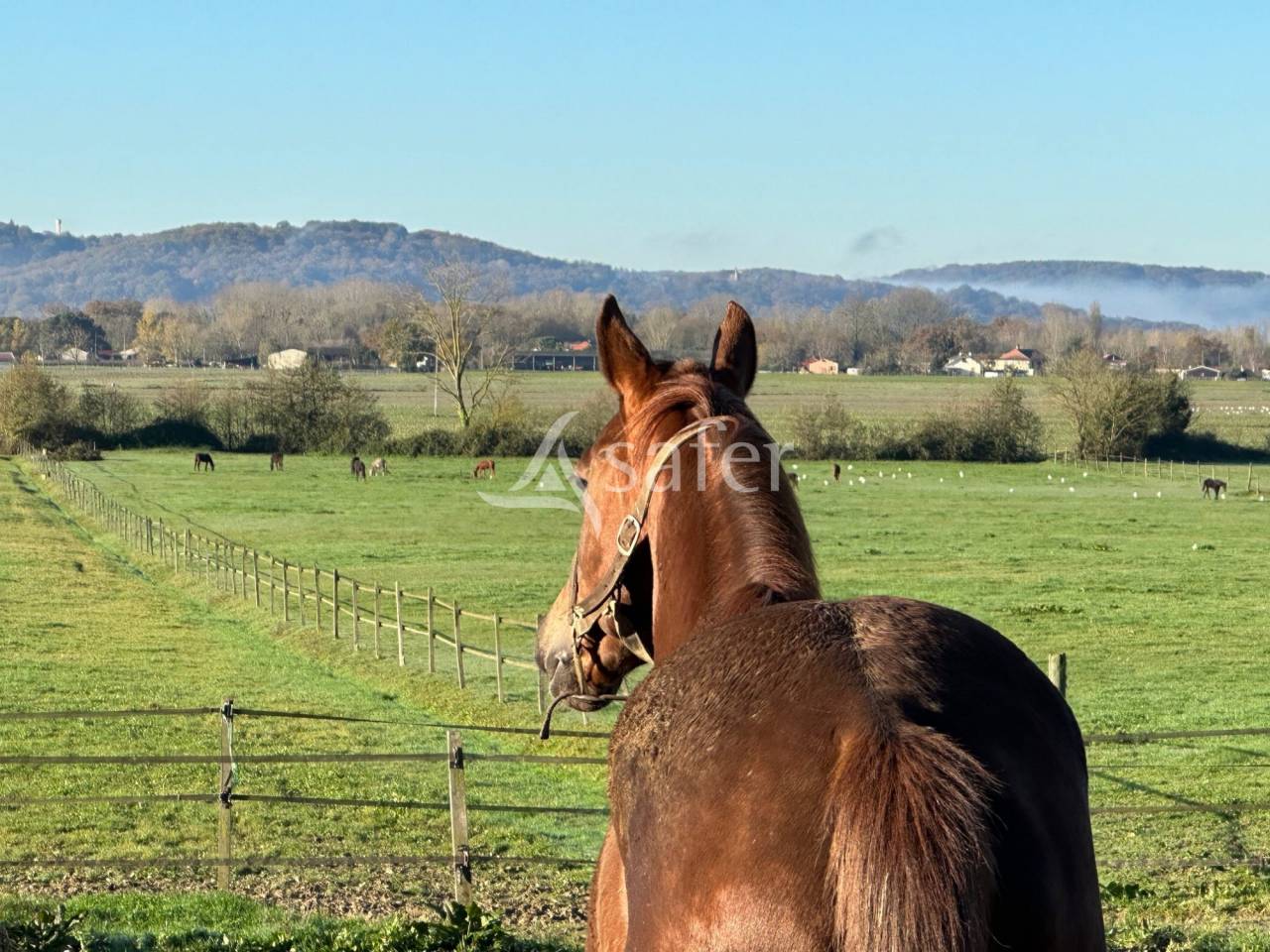 Equestrian property  Hautes-Pyrénées