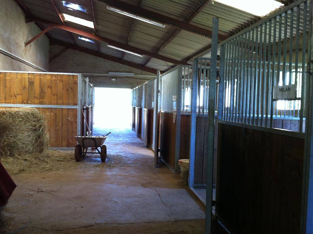 Equestrian property  Tarn-et-Taronne