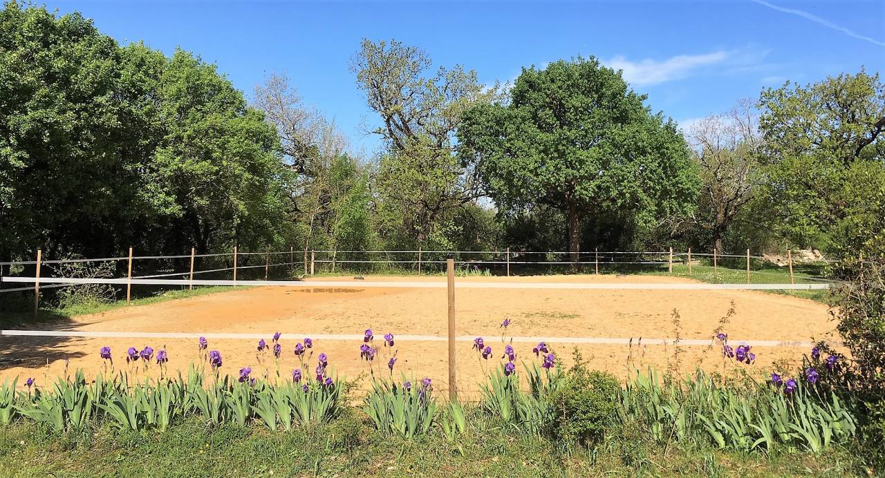 Equestrian property  Tarn-et-Taronne